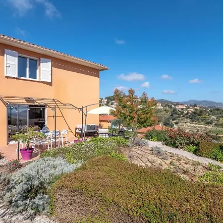 Spacious On The Cornice Of Olive Trees *